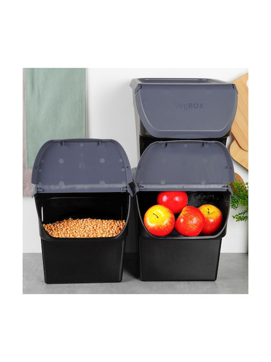 Vilde Set of 3 General Use Boxes with Gray Plastic Lid 3x26x34cm