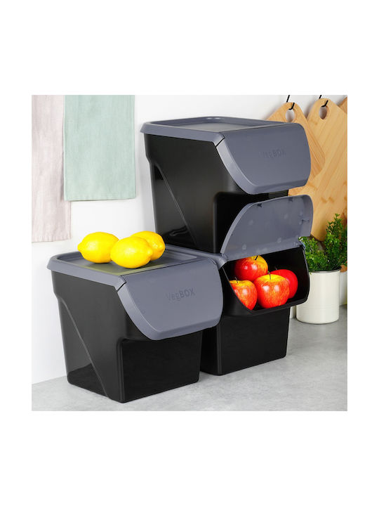 Vilde Set of 3 General Use Boxes with Gray Plastic Lid 3x26x34cm