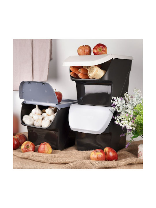 Vilde Set of 3 General Use Boxes with Gray Plastic Lid 27.5x26x34cm