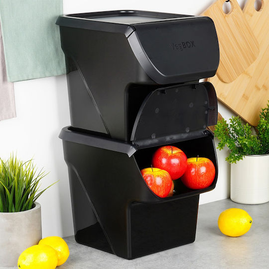 Vilde Set 2 Bucăți Casete Utilizare Generală Cu Capac Plastic Negru 2x26x34cm 2 Bucăți