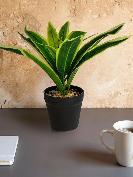 Alista Home Plastic Green Plant Pot 20x8.5cm