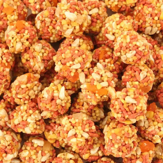 Lafeber Tropical Fruit Nutri-berries Parrots 1.36kg