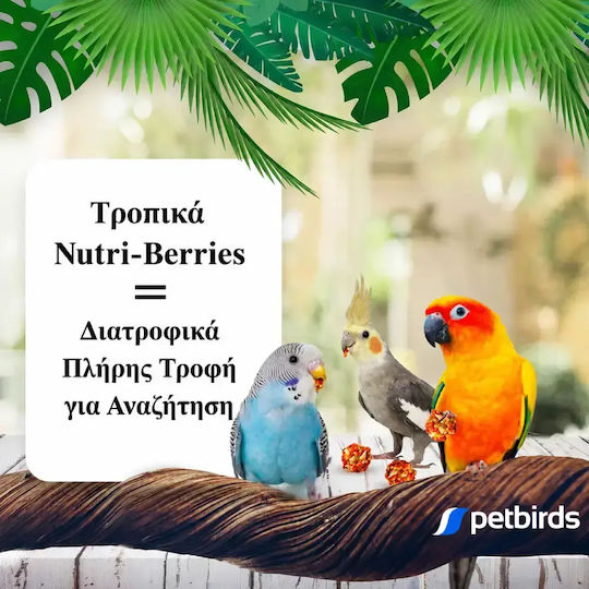 Lafeber Tropical Fruit Nutri-berries Cockatiels 284g