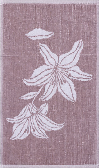 Kentia Stylish Kentia Stylish