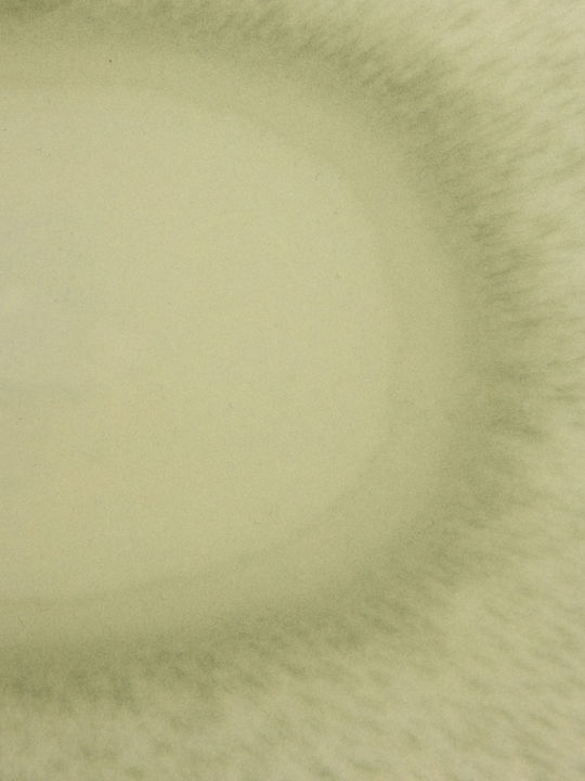 Πλαστικός Δίσκος Σερβιρίσματος 40.6x29.6x4.5cm