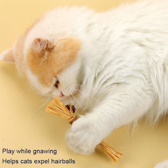 Catnip για Δέρμα & Τρίχωμα