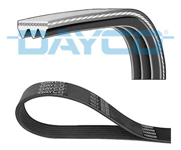 Dayco Ribbed Transmission Belt 3pk788