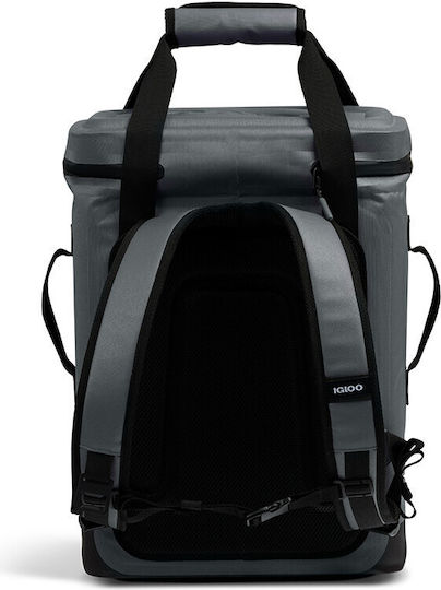 Igloo Insulated Backpack Bag