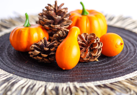 Autumn Decoration Set Pumpkins Cones 9 Pieces Decorative Ornament 5-7 Cm