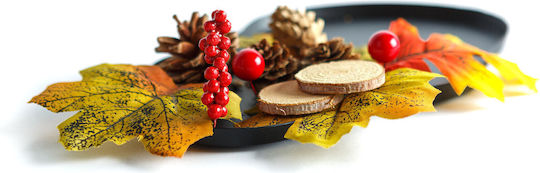 Herbstdekoration Set Laub Kiefernzapfen Kürbis 4 Designs