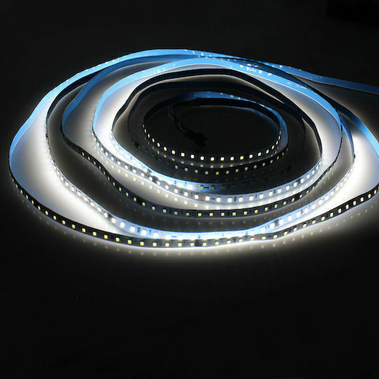 Spv T LED Strip 24V Cold White Light 5m