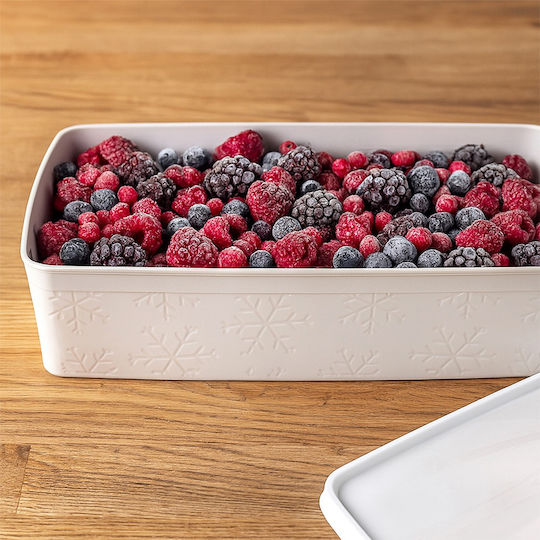 Orion Mittagsboxen Beiges 2lt Orion Mittagsboxen Beiges 2lt
