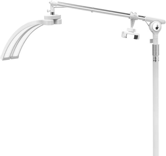 Professional Led Light Half Moon Color Intensity Adjustment Glow White 0152217