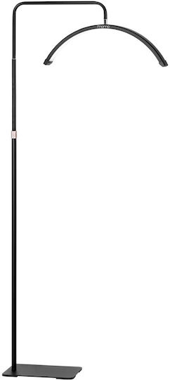 Professional Led Light Half Moon Color Intensity Adjustment Mx6 Black 0146662
