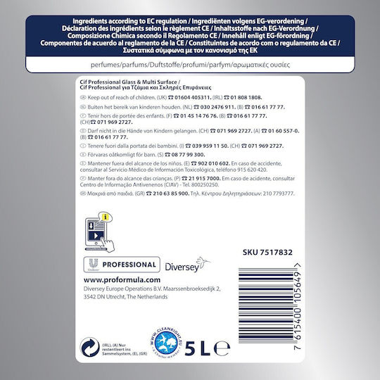 Alista Home Detergent Lichid Profesional pentru Geamuri cu Acțiune Dezinfectantă 5l