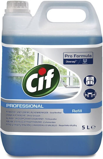 Alista Home Detergent Lichid Profesional pentru Geamuri cu Acțiune Dezinfectantă 5l
