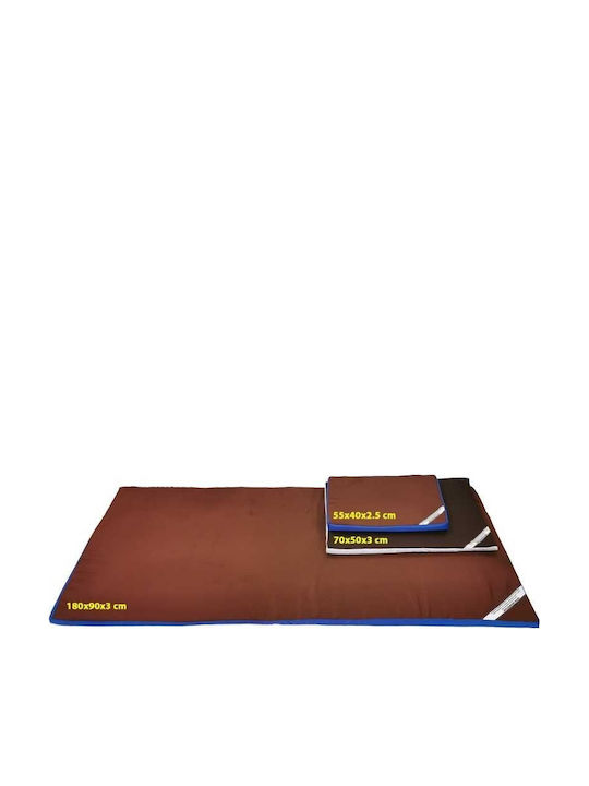 Pufrelax Covoare De Intrare Albastru 55x40cm Grosime 30mm
