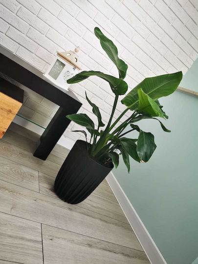 Lamela Kunststoff Blumentopf Schwarz