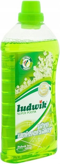 Ludwik Καθαριστικό Υγρό Γενικής Χρήσης 1lt