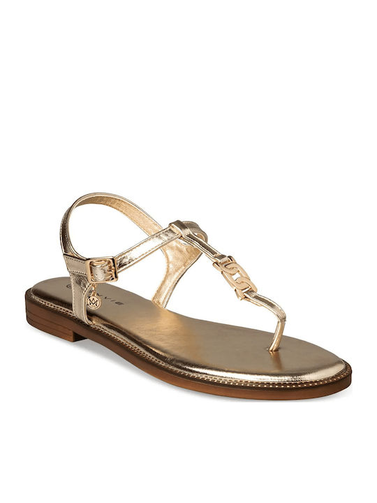Envie Shoes Envie Shoes