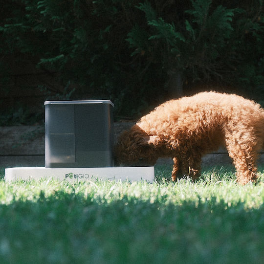 Petigio Futternäpfe & Wasserschalen für Hunde & Katzen
