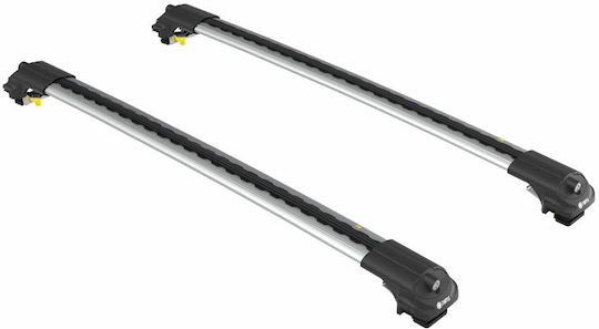 Turtle Air1 (with Roof Rack Legs and Lock) Silver