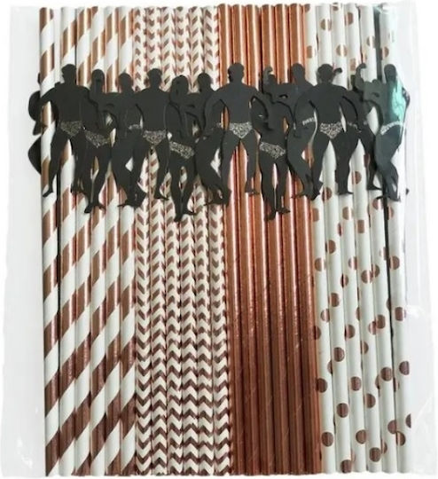 Set 24 Drinking Straws Bachelorette Party