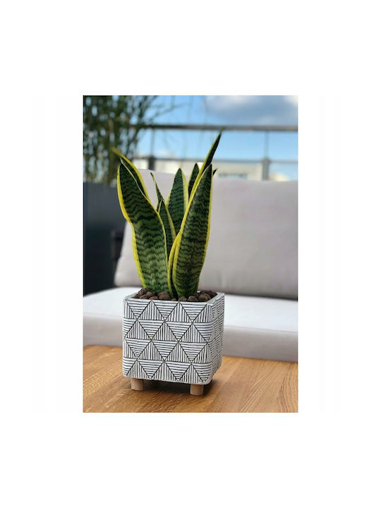Polnix Ghiveci De Flori Din Beton Gri