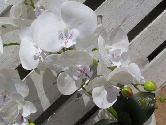 Künstliche Orchidee Blume Dekorative Zweig 75 Cm