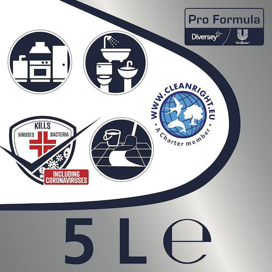 Alista Home Clor Profesional în Formă Lichidă cu Miros de Pin 45gr 5lt