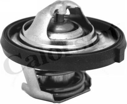 Thermostat Coolant Calorstat By Vernet Th7311.95j