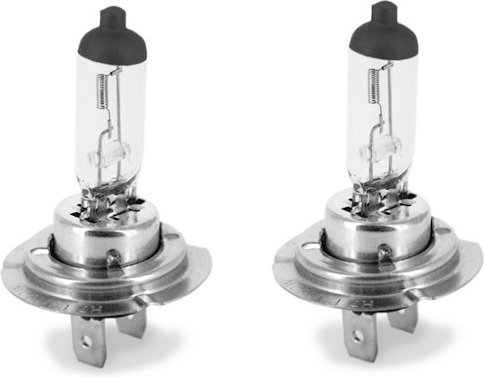 Halogen Car Bulb H7 12v 55w +50% Brightness Headlights Set 2 Pcs