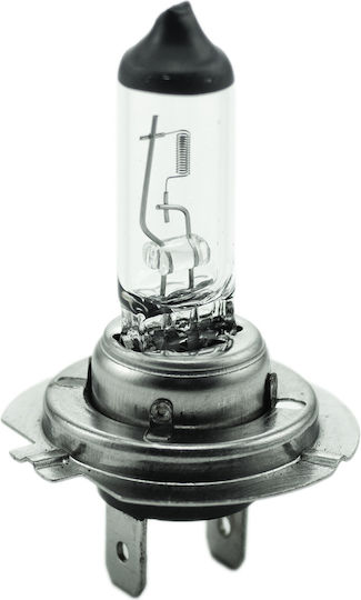 Bec Auto Halogen H7 12v 55w 1300lm 2700k Faruri Auto Iluminare Standardă