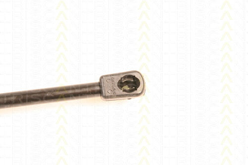 Triscan 8710 16237 Trunk Shock Absorber