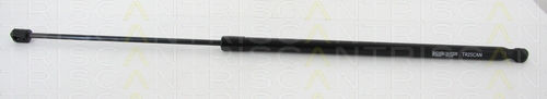 Triscan 8710 16262 Trunk Shock Absorber