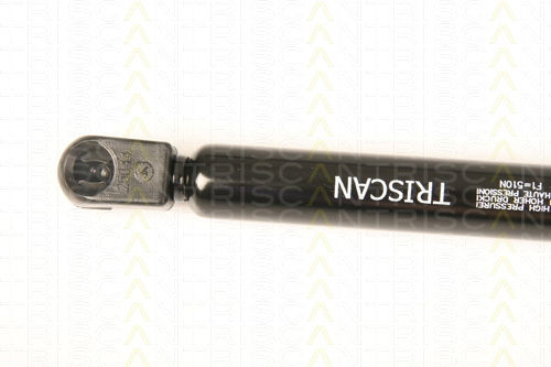Triscan 8710 66204 Trunk Shock Absorber