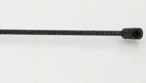 Triscan 8710 38234 Trunk Shock Absorber