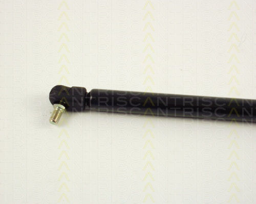 Triscan 8710 67202 Trunk Shock Absorber