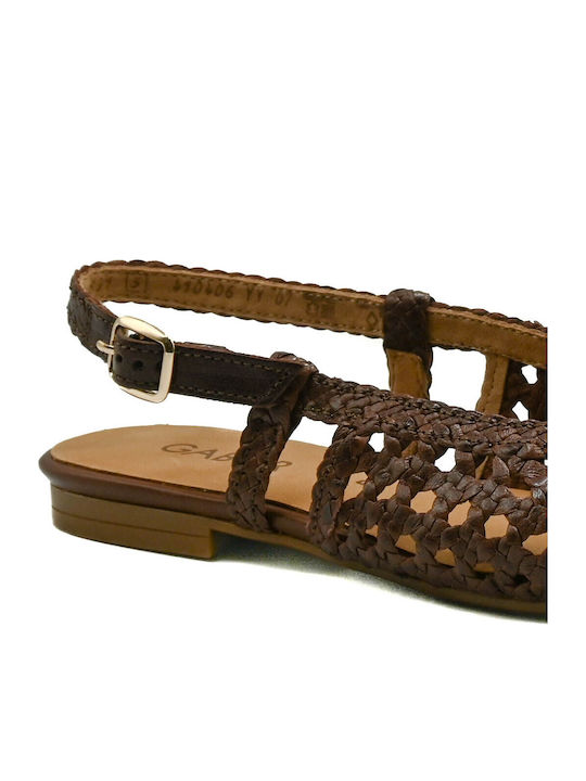 Leather Women's Ballerina Shoes In Brown Colour