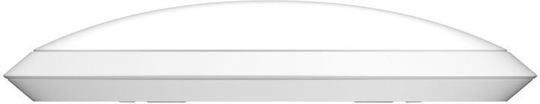 Ruijie RG-RAP72 Access Point with Mesh Wi-Fi 7 Dual Band (2.4 & 5GHz) Single Kit White