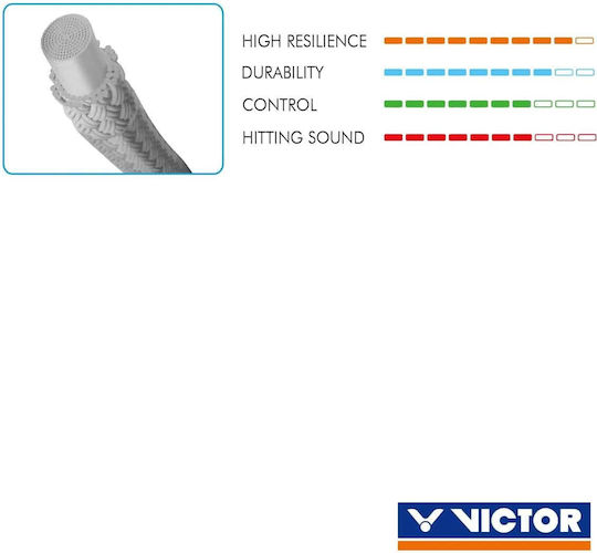 Victor Badminton Grid