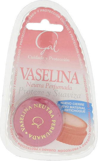 Vaseline Protege y Suaviza Lip Balm 13ml