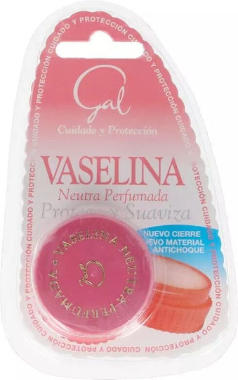 Vaseline Protege y Suaviza Lip Balm 13ml