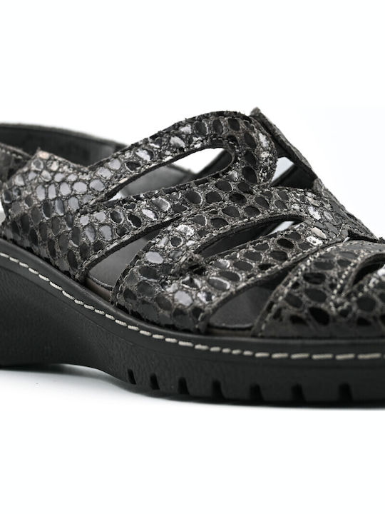Platforme Dama Anatomice Gri