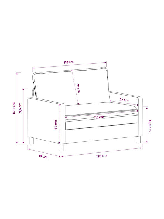 Set Mobilier Living Scaun Cu 2 Locuri și Fotoliu