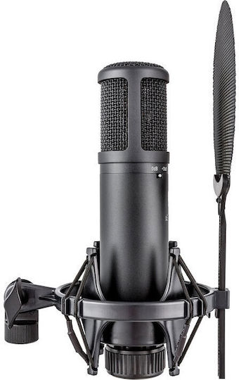 SE Electronics sE2200 Kondensatormikrofon XLR Stoßmontiert für Gesang