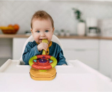 FreeOn Steering Wheel with Lights and Sounds for 18+ Months