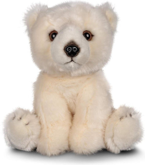 Plush Teddy Bear