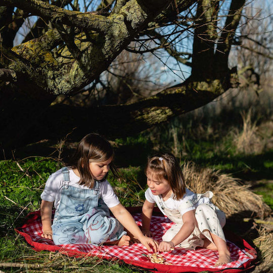 Play&go Play Mat Bag 2 in 1 Outdoor Pic Nic