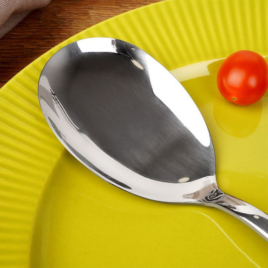Orion Stainless Steel Gray Kitchen Spoon